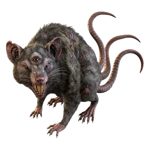Mutantė žiurkė
